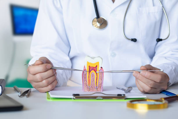 Best Emergency Dentist for Lost Fillings or Crowns in Tatamy, PA